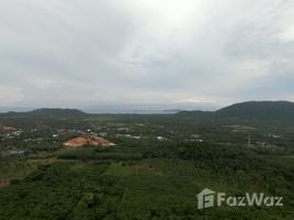  Grundstück zu verkaufen in Koh Samui, Surat Thani, Na Mueang