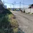 ขายที่ดิน ใน บางโฉลง, สมุทรปราการ, บางโฉลง
