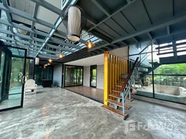 3 Bedroom Retail space for rent in Thalang Phuket, Si Sunthon, Thalang, Phuket