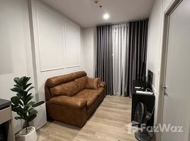 คอนโด 1 ห้องนอน ให้เช่า ในโครงการ โอกะ เฮาส์, คลองตัน