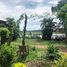 3 ຫ້ອງນອນ ເຮືອນວິນລ້າ for rent in ວຽງຈັນ, ສີສັດຕະນາກ, ວຽງຈັນ
