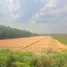  Land for sale in Map Yang Phon, Rayong, Map Yang Phon, Pluak Daeng