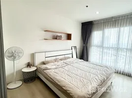 1 Bedroom Apartment for rent at Aspire Sukhumvit 48, Phra Khanong, Khlong Toei, Bangkok