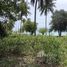  Land for sale in Koh Samui, Maenam, Koh Samui