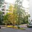2 Bedrooms Condo for sale in Karon, Phuket Palm & Pine At Karon Hill