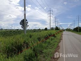  Terrain for sale in Nakhon Ratchasima, Kritsana, Sikhio, Nakhon Ratchasima