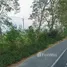  Land for sale in Ban Na, Phichit, Ban Na, Wachirabarami