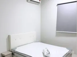 Studio Appartement zu vermieten im Grange Road, One tree hill