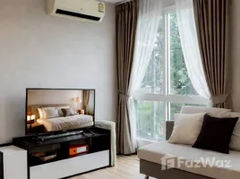 ขายคอนโด 1 ห้องนอน ในโครงการ วันพลัส คำเทึ่ยง, ป่าตัน