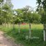  Land for sale in Phu Kamyao, Phayao, Dong Chen, Phu Kamyao