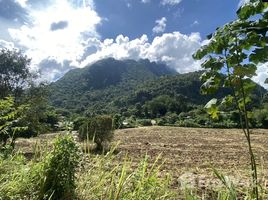 ขายที่ดิน ใน เชียงดาว, เชียงใหม่, เชียงดาว, เชียงดาว