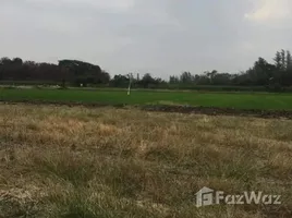 ขายที่ดิน ใน ตาลเดี่ยว, สระบุรี, ตาลเดี่ยว