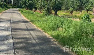 N/A Land for sale in Thep Krasattri, Phuket 