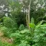  Land for sale in Chalong, Phuket Town, Chalong