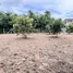  Land for sale in Sila, Khon Kaen, Sila