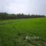  Land for sale in Sai Yai, Nonthaburi, Sai Yai, Sai Noi, Nonthaburi