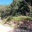  Grundstück zu verkaufen in Fernando De Noronha, Rio Grande do Norte, Fernando De Noronha, Fernando De Noronha