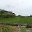  Land for sale in Tabanan, Bali, Kediri, Tabanan