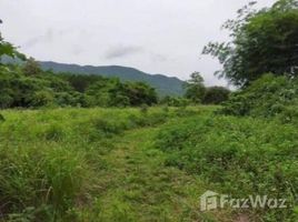  Land for sale in Chiang Rai, Mae O, Phan, Chiang Rai
