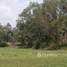  Land for sale in Pak Phli, Nakhon Nayok, Na Hin Lat, Pak Phli