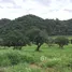  Земельный участок for sale in Khanong Phra, Накхон Ратчасима, Khanong Phra