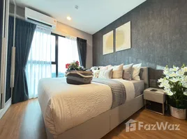 1 Bedroom Apartment for rent at Arise Charoen Mueang, Tha Sala, Mueang Chiang Mai
