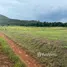  Grundstück zu verkaufen in Pak Nam Pran, Hua Hin, Pak Nam Pran, Pran Buri