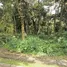  Land for sale in La Union, Cartago, La Union