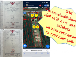  Land for sale in Phatthalung, Pa Bon, Pa Bon, Phatthalung