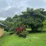 3 Habitación Casa en venta en Alajuela, San Ramón
