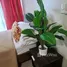 Appartement 1 chambre à louer à One Uptown Residences, Makati City