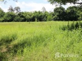  Земельный участок for sale in Таиланд, Nam Phrae, Ханг Донг, Чианг Маи, Таиланд