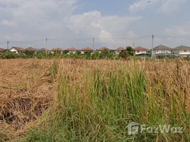  토지을(를) FazWaz.co.kr에서 판매합니다., Lat Krabang, Lat Krabang, 방콕, 태국