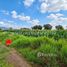  Земельный участок for sale in Kan Chu, Phetchabun, Kan Chu, Bueng Sam Phan, Phetchabun