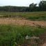  Land for sale in Chumphon, Chong Mai Kaeo, Thung Tako, Chumphon