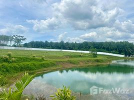 ขายที่ดิน ใน ท้ายเหมือง, พังงา, ท้ายเหมือง, ท้ายเหมือง