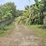 3 Bedroom Villa for rent in Chiang Rai, San Sai, Mueang Chiang Rai, Chiang Rai