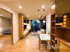 คอนโด 1 ห้องนอน ให้เช่า ในโครงการ โนเบิล อราวน์ สุขุมวิท 33, คลองตันเหนือ