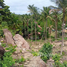  Land for sale in Surat Thani, Ko Pha-Ngan, Ko Pha-Ngan, Surat Thani