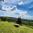  Land for sale in Pak Chong, Nakhon Ratchasima, Pak Chong, Pak Chong, Nakhon Ratchasima