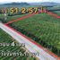  Земельный участок for sale in Bang But, Районг, Bang But