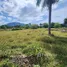 Terrain à vendre à San Felipe De Puerto Plata, Puerto Plata, San Felipe De Puerto Plata, Puerto Plata, République dominicaine