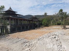 ขายที่ดิน ใน ราไวย์, ภูเก็ต, ราไวย์, เมืองภูเก็ต, ภูเก็ต