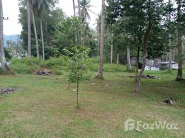  Grundstück zu verkaufen in Thalang, Phuket, Pa Khlok