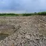  Land for sale in Bang Sao Thong, Samut Prakan, Bang Sao Thong, Bang Sao Thong, Samut Prakan