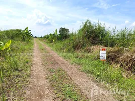 ขายที่ดิน ใน หน้าไม้, ปทุมธานี, หน้าไม้, ลาดหลุมแก้ว