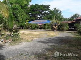  Terrain for sale in Doi Saket, Chiang Mai, Talat Yai, Doi Saket