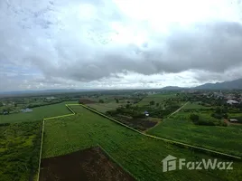 ขายที่ดิน ใน พญาเย็น, นครราชสีมา, พญาเย็น