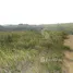  Land for sale in Colombia, Los Santos, Santander, Colombia