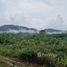  Земельный участок for sale in Nong Thale, Краби, Nong Thale, Mueang Krabi, Краби